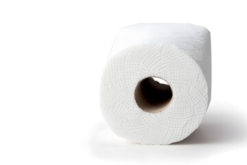 roll of toilet paper