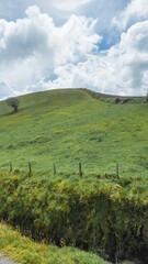 background of green rural grasslands and crop fields in the highlands of cartago in costa rica