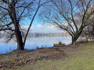 lake in the forest