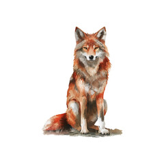 red wolf vector illustration in watercolor style