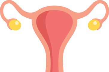 Poster - Simple flat vector illustration of the female reproductive system