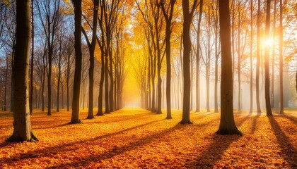 Beautiful bright colorful autumn landscape with a carpet of yellow leaves. Natural park with 