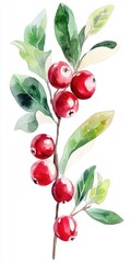 Wall Mural - Vibrant Cranberries. Fresh Red Berries and Leaves in Watercolor Vertical Illustration