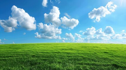 Wall Mural - Lush Green Field under Bright Blue Sky with Clouds