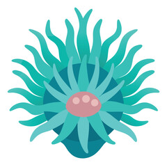 Sea anemone vector illustration isolated on a white background