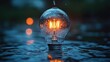 © huynh - A light bulb filled with water, creating a unique visual effect.