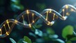 © Tonton54 - Illuminated DNA helix surrounded by green leaves on a dark background.