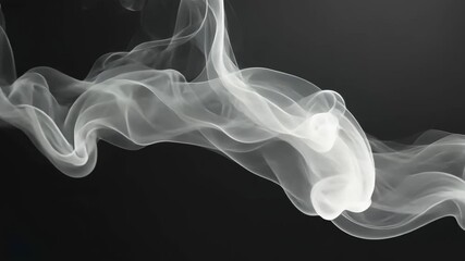 Wall Mural - white smoke swirls against a black background, creating an abstract design