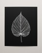© Arceli - Bold line illustration of a leaf against a dark void on plain black background