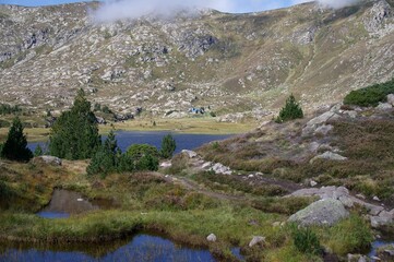 landscape with lake