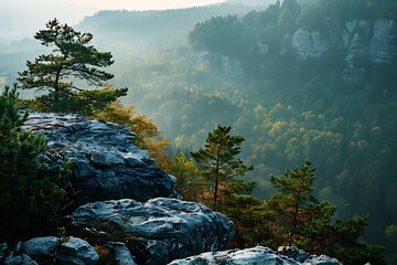 Beautiful view of the forest from the mountain. Landscape wallpaper