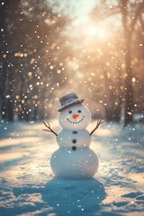 Wall Mural - Snowman in winter clothes on park background