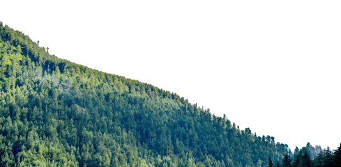 view of tropical forest with side of mountains on background, adventure cut out transparent isolated