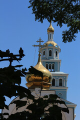 church and birds