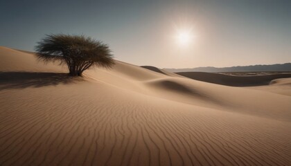 Wall Mural - sand dunes beautiful desert landscape