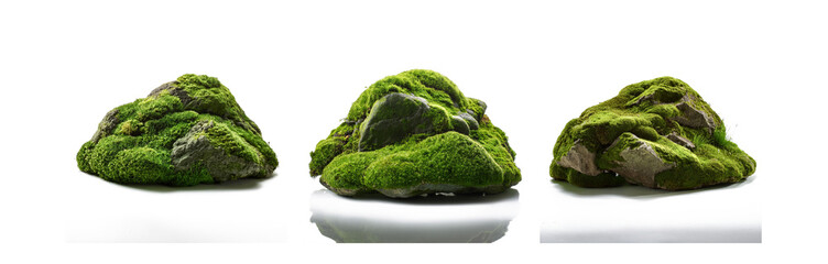 Poster - Three moss covered rocks are arranged on a white surface.