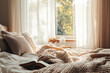 © Emre Kaya - Peaceful Bedroom with Neatly Made Bed and Natural Light