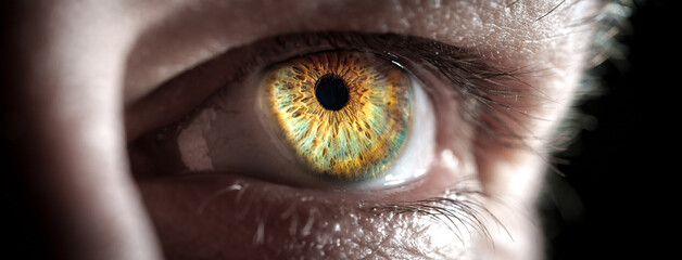 Wall Mural - an exceptional and stunning closeup view of an eye featuring vibrant colors and intricate patterns