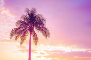 Canvas Print - palm trees at sunset