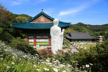 Wall Mural - Yeongpyeongsa Temple, Sejong City, Korea - October 9, 2019: A Buddha Statue next to the temple is looking down at people.