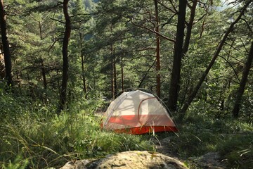 modern camping tent in forest at summer