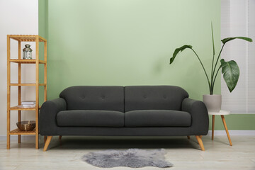 Canvas Print - Stylish sofa, shelving unit and houseplant near green wall indoors