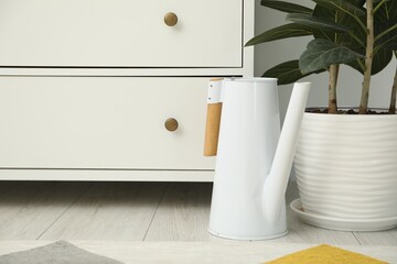 Poster - Watering can and beautiful houseplant on floor indoors