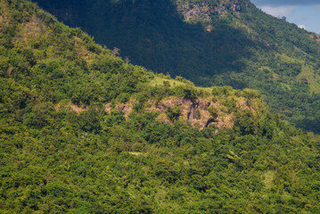 rain forest at Khao Kho, Phetchabun, Thailand