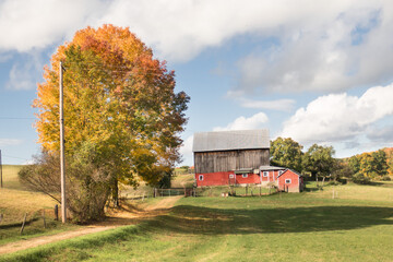 new england barn down a country lane on a brilliant autumn day. blue sky, clouds, autumn colors.