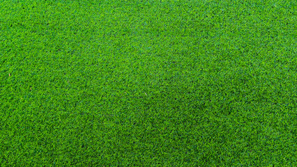 Green grass background, top view background of garden bright grass concept used for making green backdrop,