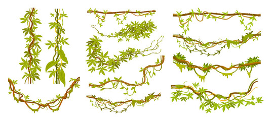 liana plants. tropical climbing creepers branches with moss, rainforest flora flat vector illustrati