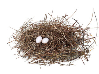 Bird's nest and 2 eggs on transparent background.