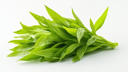 A bunch of fresh sorrel leaves with their vibrant green color and slightly crinkled texture, isolated on a white background