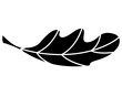 © Hanna - Oak leaf part of plant - vector silhouette picture for logo, pictogram or stencil. Oak leaf, plant for sign or icon