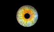 © AdobeTim82 - A Vibrant Abstract Eye Design with a Beautiful Colorful Texture that captivates imagination, iris