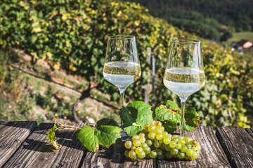 Two glasses of white wine on a wooden table in the vineyard