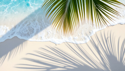 abstract sand beach with palm leaf shadow and blue water wave from above, summer vacation outdoors in tropical paradise nature, background with space isolated with white highlights, png