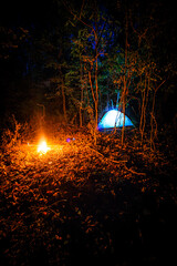 Tent in the night forest with fire , light in tent . Screemy place in forest , beautiful landscape wit a tent . Forest at night , camping . Trees with green leaves . Horror place with tent 