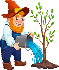 Gnome dwarf farmer character watering tree in garden, vector cartoon fairy tale personage. Gnome man or little dwarf gardener with water bucket watering tree for kids book or fairytale story