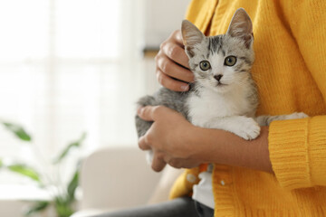 Wall Mural - Woman with cute kitten at home, closeup. Space for text