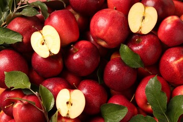 Wall Mural - Fresh ripe red apples and green leaves as background, top view