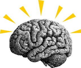 brain bitmap collage element, human brain bitmap illustration on transparent background, idea brain 