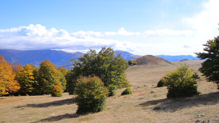 Wall Mural - autumn in the mountains