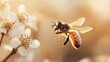 © JoxyAimages - This image captures a bee in mid-flight, pollinating flowers under golden sunlight, emphasizing the essential role bees play in the ecosystem and biodiversity.