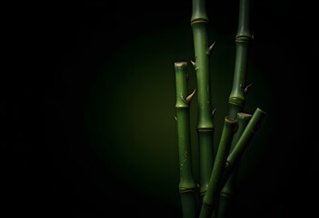 a cluster of three bamboo stalks with varying heights isolated on a black background, highlighting their natural green hues and intricate patterns create with ai