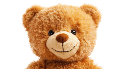 Teddy bear, white isolate background