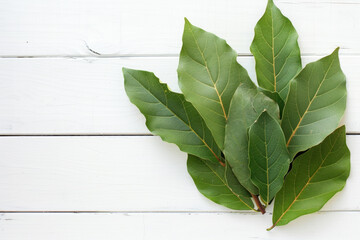 A bunch of fresh green bay leaves arranged on a distressed white wooden surface, showcasing their natural texture and color.