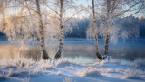 Fototapeta Do pokoju - Zima, piękny krajobraz. Widok na wodę i drzewa brzozy