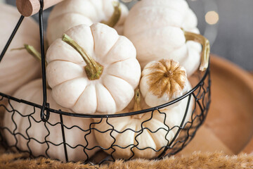 Still-life. White decorative pumpkins in an iron loft basket on the table in the home interior of the living room on the background of a beautiful side of lights. The concept of a cozy autumn.