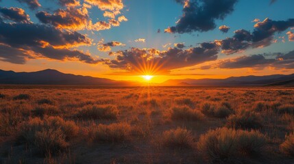 Wall Mural - Sunset Over Desert Landscape